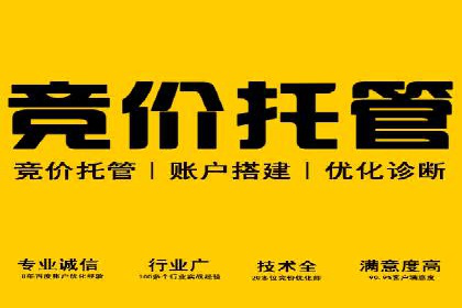 行业巨头背后的SEM推广代运营公司